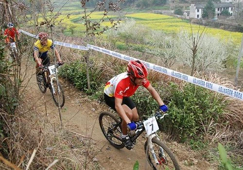 mtb
