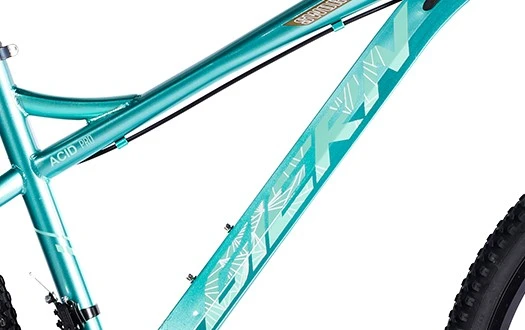beautiful sticker special design mountain bicycle beautiful sticker special design mountain bicycle