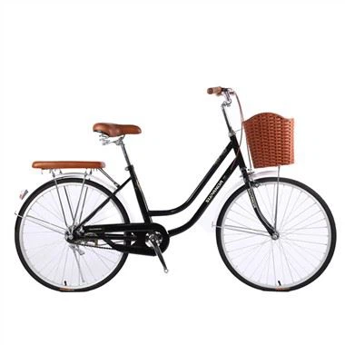 Xe đạp đi lại trong thành phố