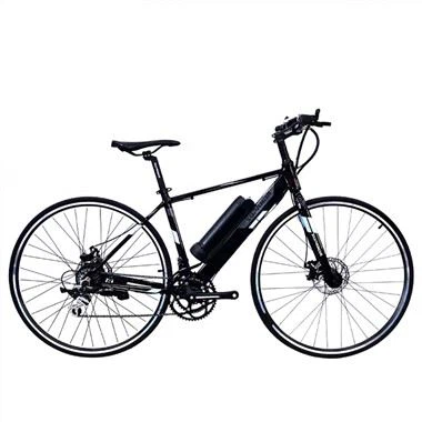 Xe đạp điện Road Bike