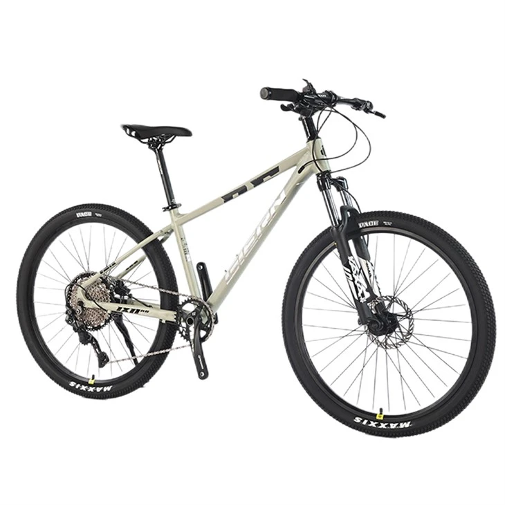 Xe đạp leo núi Hardtail giá cả phải chăng
