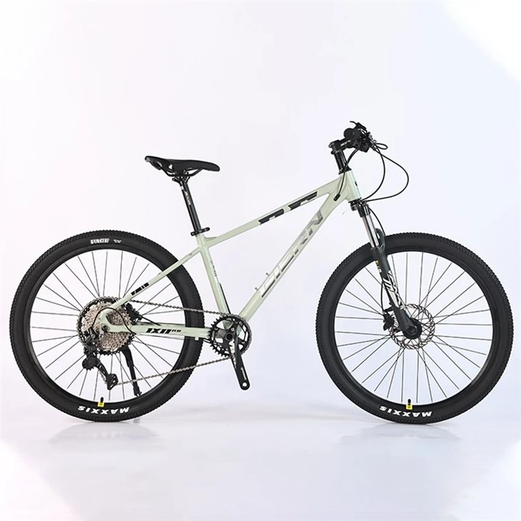 Affordable Hardtail Mountain Bike