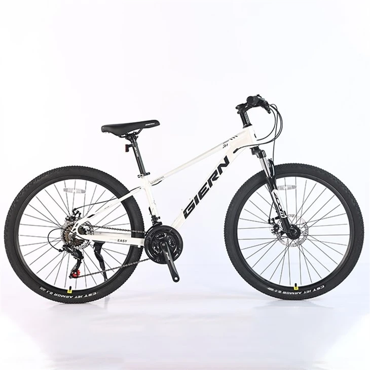 Downcountry Hardtail Mtb