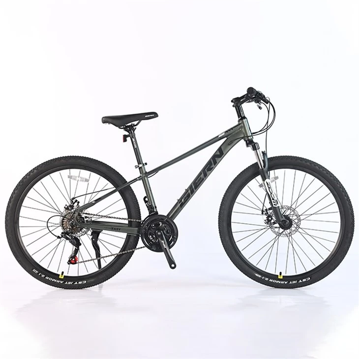Downcountry Hardtail Mtb