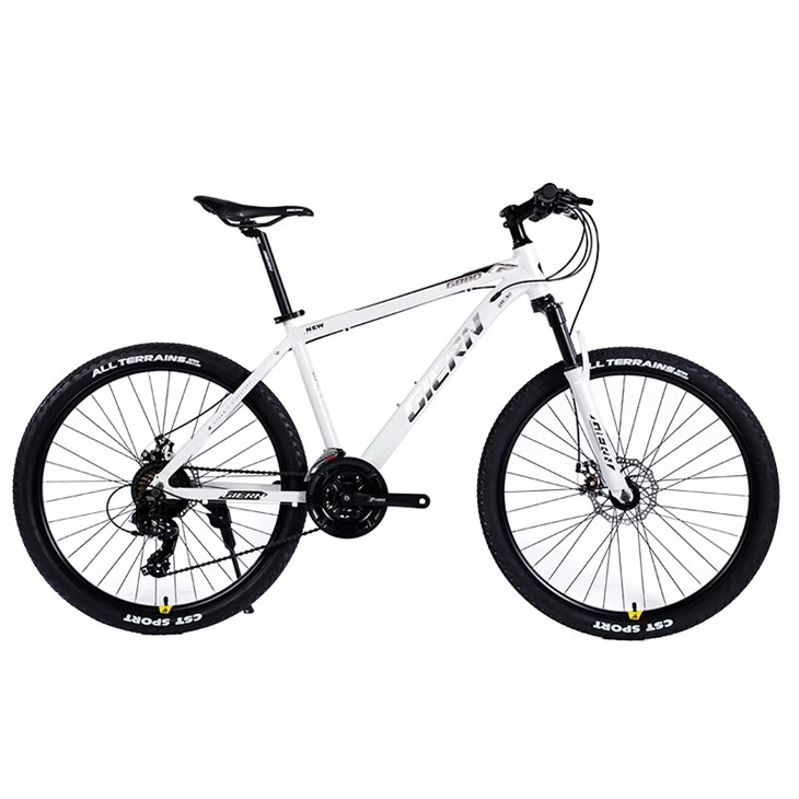 Xe đạp lai Hardtail