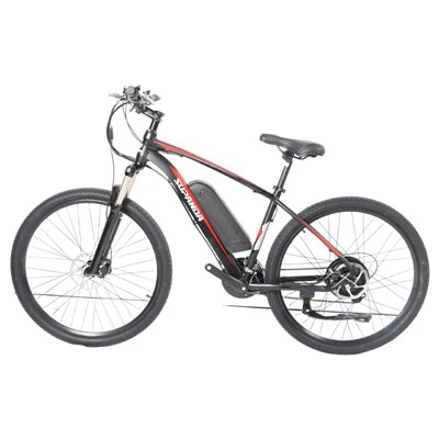 Xe đạp leo núi điện 29 inch