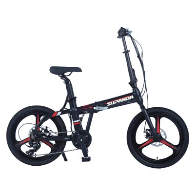 Xe đạp điện gấp 20 inch