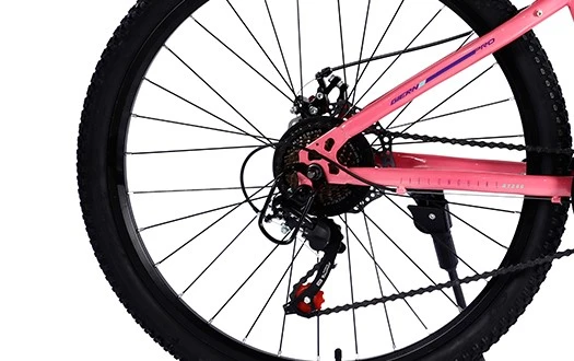 bicycle freewheel bicycle freewheel
