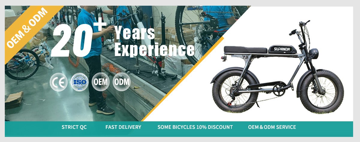 electric mountain Bike wholesale factory electric mountain Bike wholesale factory