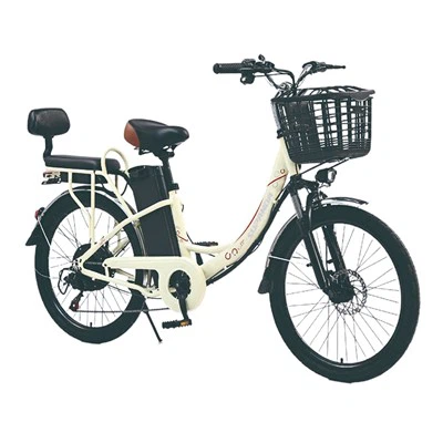 Xe đạp điện City Star